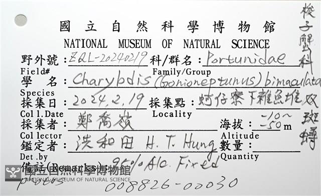雙斑蟳藏品圖，第12張