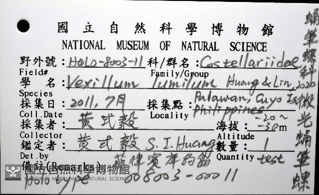 微光蛹筆螺藏品圖，第12張