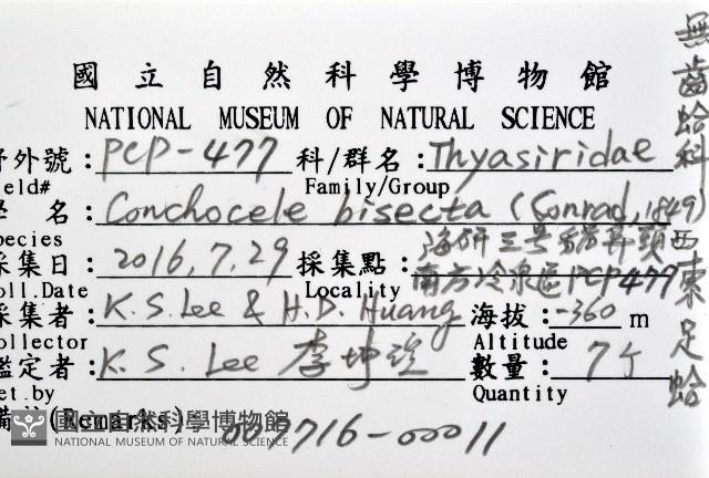 索足蛤藏品圖，第12張
