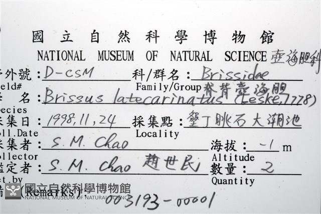 脊背壺海膽藏品圖，第12張