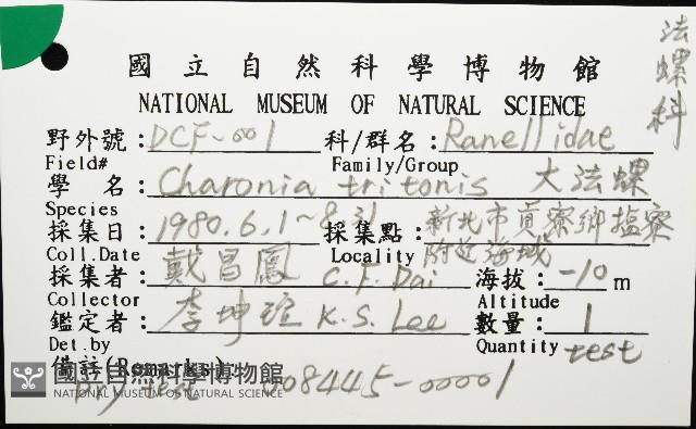 大法螺藏品圖，第12張