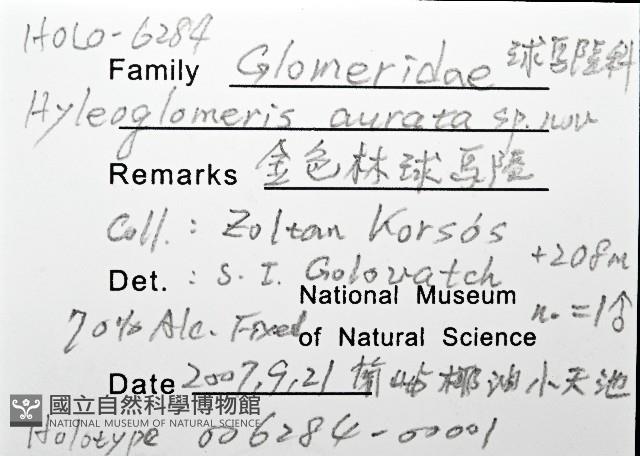 金色木球馬陸藏品圖，第12張