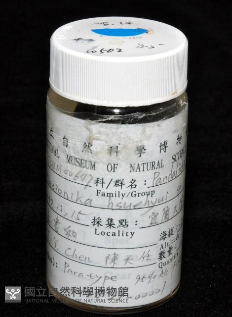學羽紅蝦藏品圖，第12張