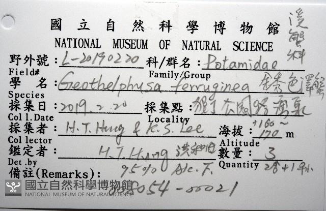 銹色澤蟹藏品圖，第12張
