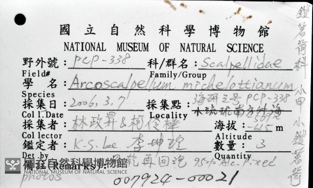 小甲小鎧茗荷藏品圖，第12張