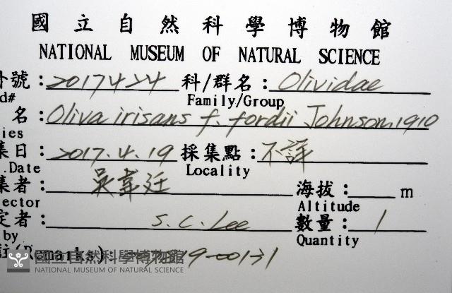 登錄號:007819-00131藏品圖，第12張
