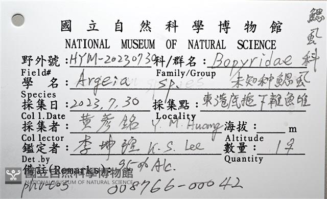 未知種鰓虱藏品圖，第12張