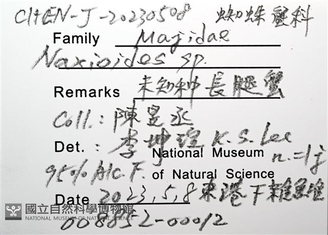 未知種長腿蟹藏品圖，第12張
