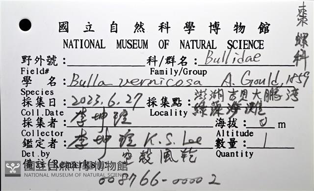 棗螺藏品圖，第12張