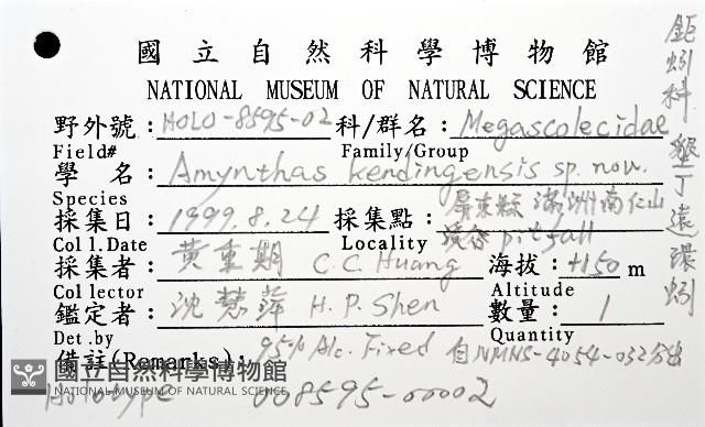 墾丁遠環蚓藏品圖，第12張