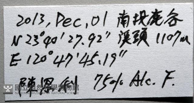 登錄號:007926-00002藏品圖，第12張