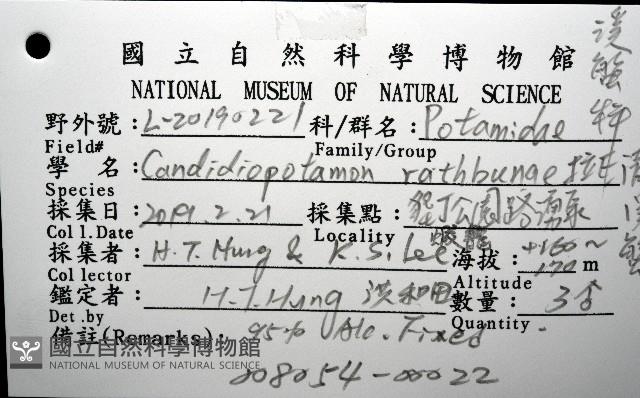 拉氏明溪蟹藏品圖，第12張