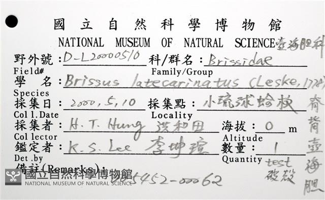 脊背壺海膽藏品圖，第12張