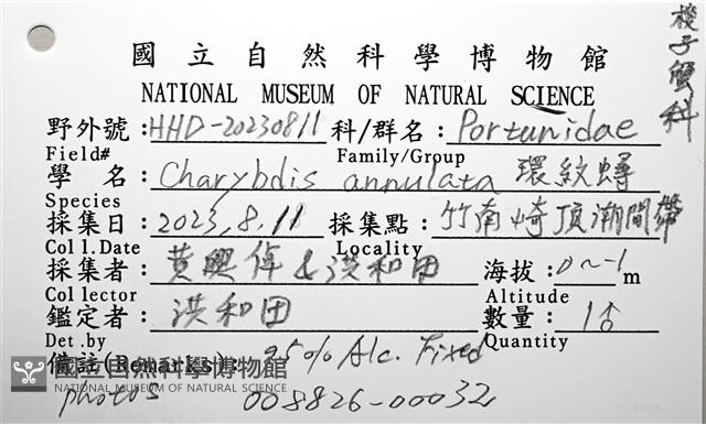 環紋蟳藏品圖，第12張
