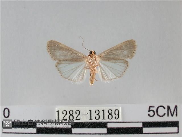 登錄號:001282-13189藏品圖，第2張