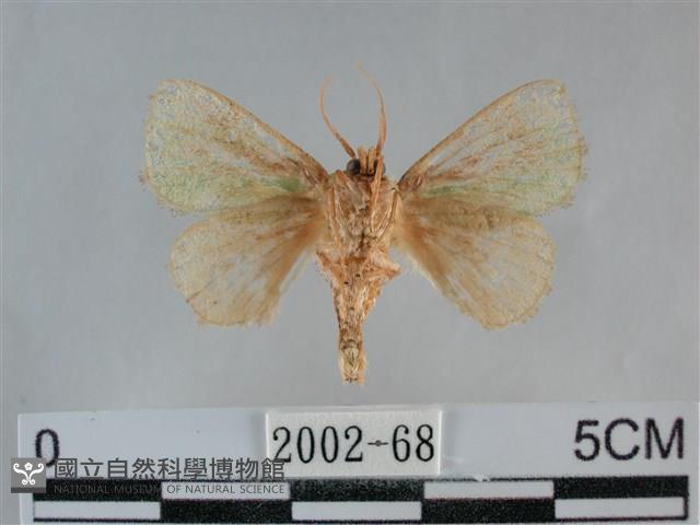 登錄號:002002-00068藏品圖，第2張