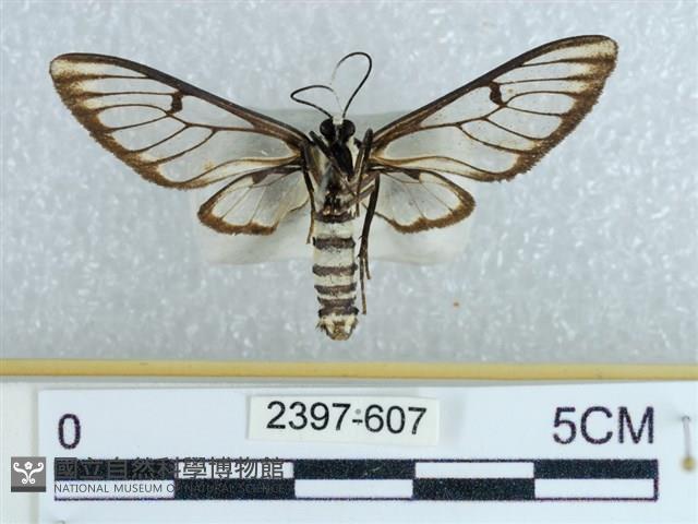 登錄號:002397-00607藏品圖，第2張