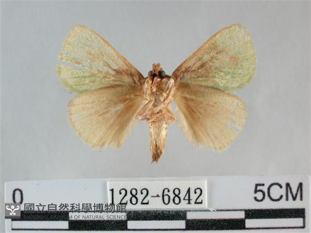 登錄號:001282-06842藏品圖，第2張