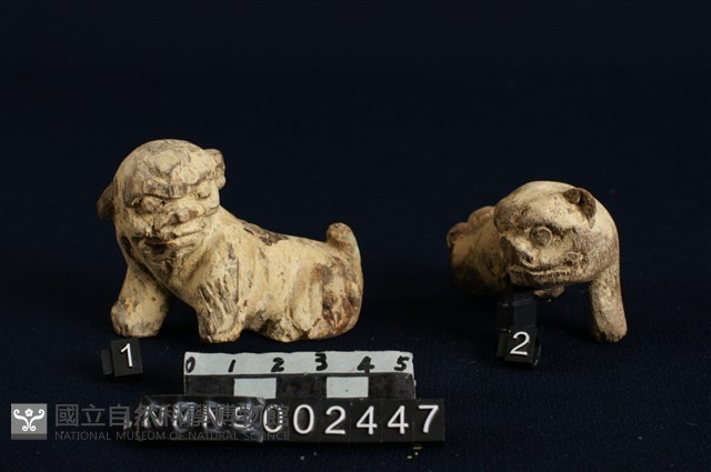 獅藏品圖，第2張