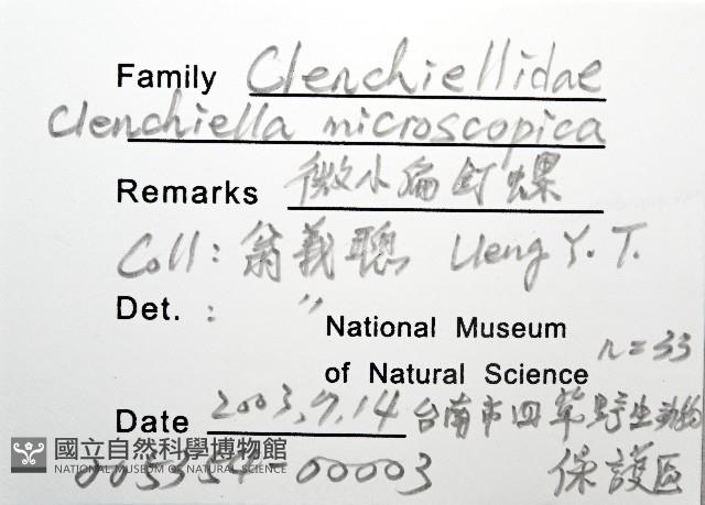 微小扁釘螺藏品圖，第2張