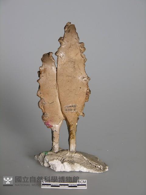 梅山收七怪 藏品圖，第1張