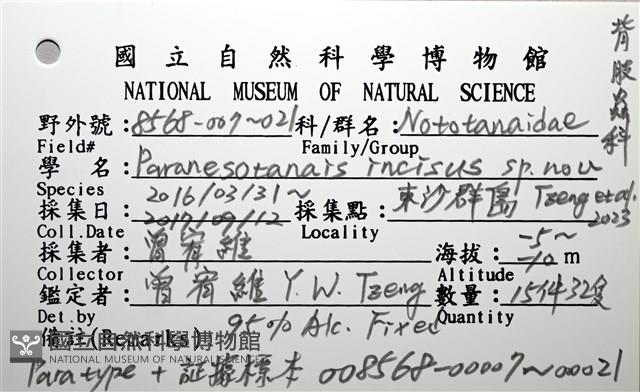 刻印擬島原足蟲藏品圖，第2張
