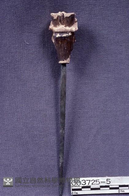 五營頭藏品圖，第1張