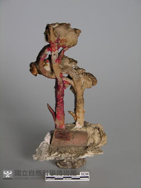 梅山收七怪 藏品圖，第2張