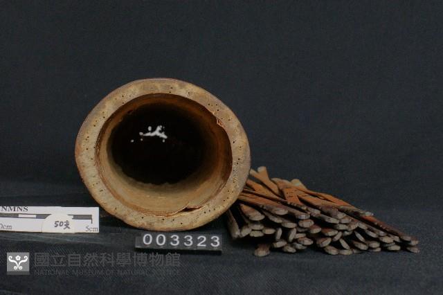 藥籤/籤筒(婦科)藏品圖，第2張