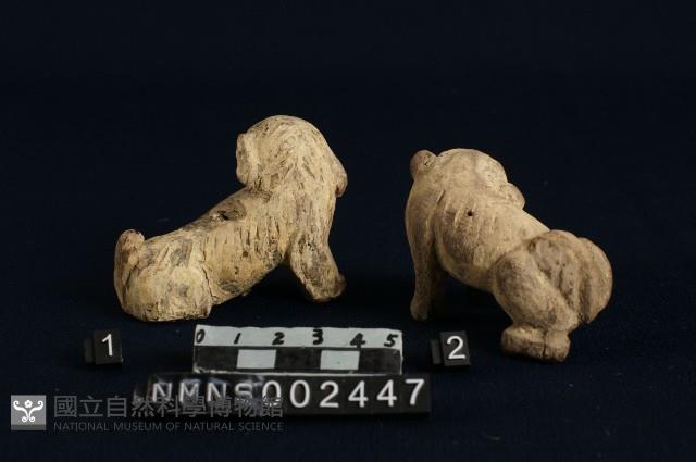 獅藏品圖，第2張