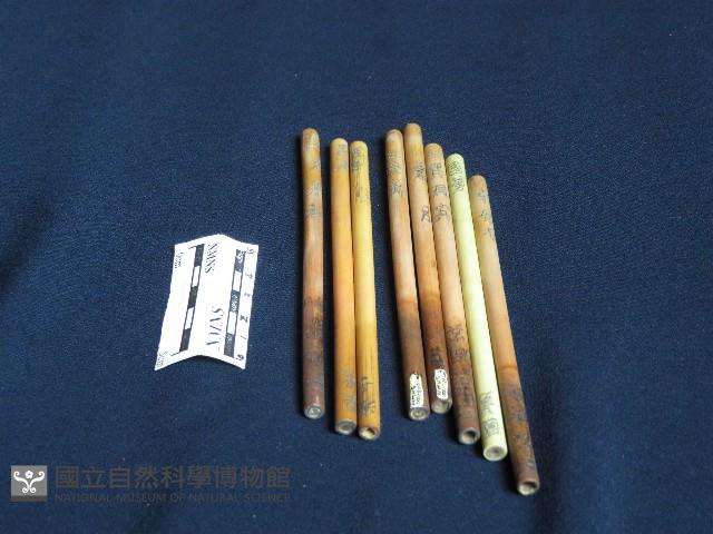 八卦籤筒藏品圖，第2張