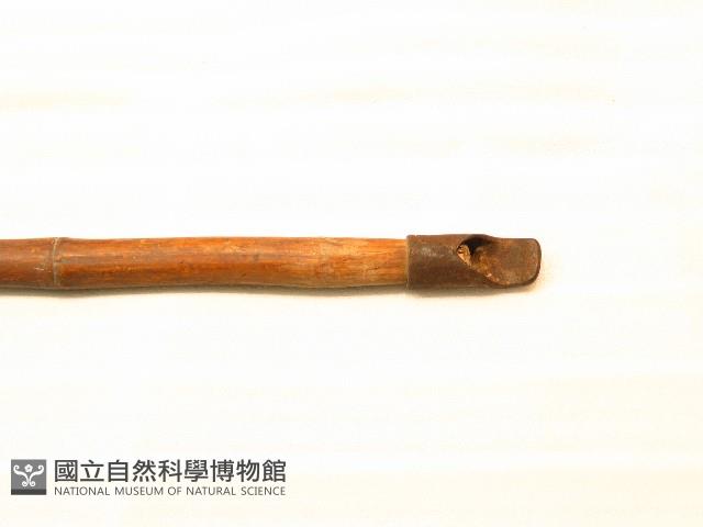 槍-套藏品圖，第1張