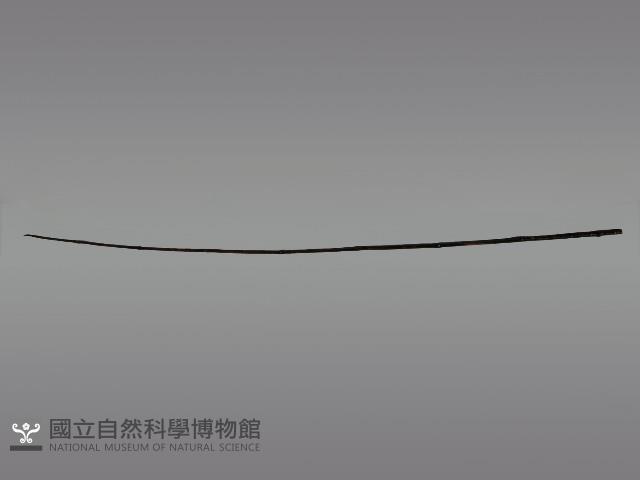 上掛葫蘆小祭桿藏品圖，第1張