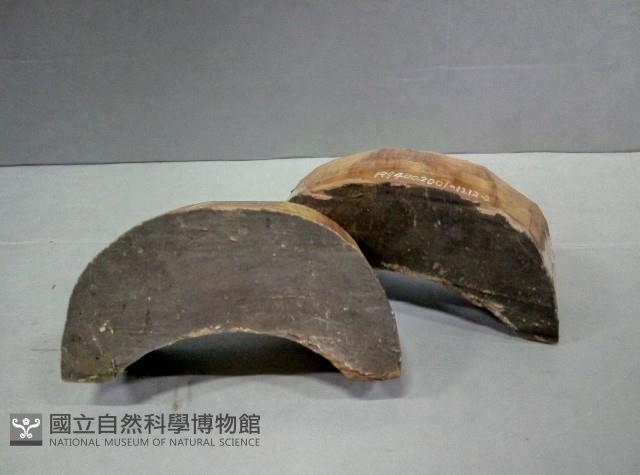 屋宅構件藏品圖，第2張