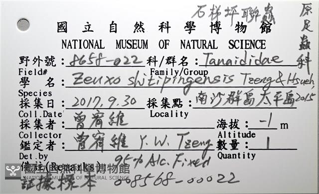 石梯坪聯蟲藏品圖，第2張