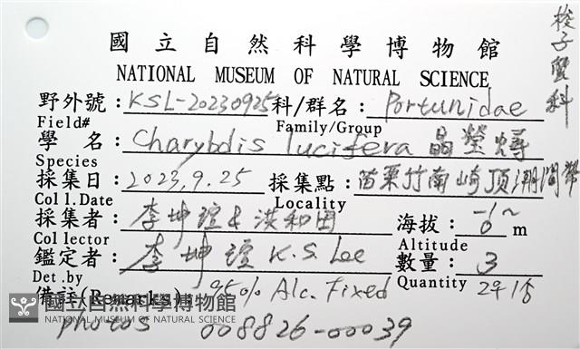 晶瑩蟳藏品圖，第21張