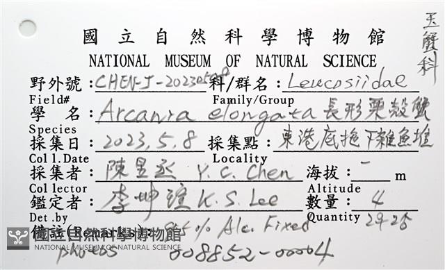 長形栗殼蟹藏品圖，第22張