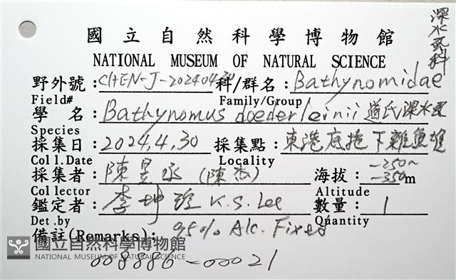 道氏深水虱藏品圖，第22張
