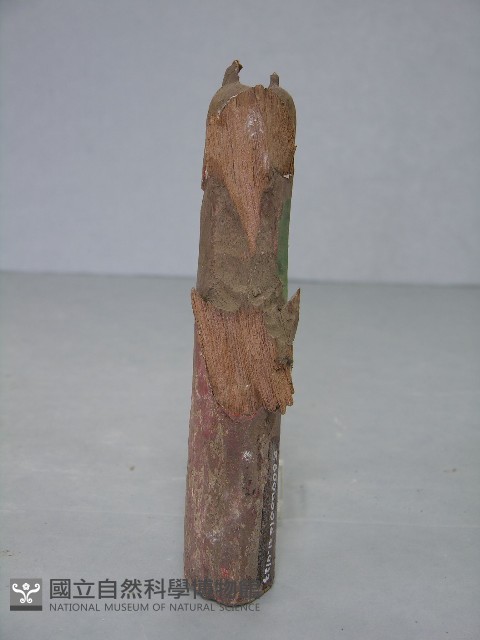 八角斗藏品圖，第62張