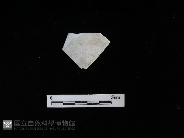 瓷盤藏品圖，第2張