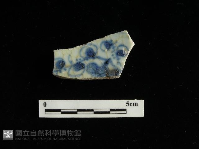 瓷片藏品圖，第2張