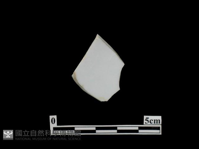 帶紋飾瓷片藏品圖，第1張