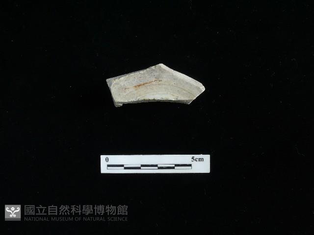 瓷碗藏品圖，第2張