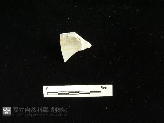 瓷碗藏品圖，第1張