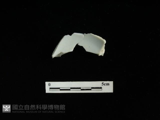 瓷碗藏品圖，第2張