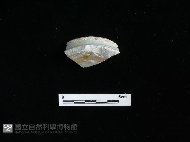 瓷碗藏品圖，第2張