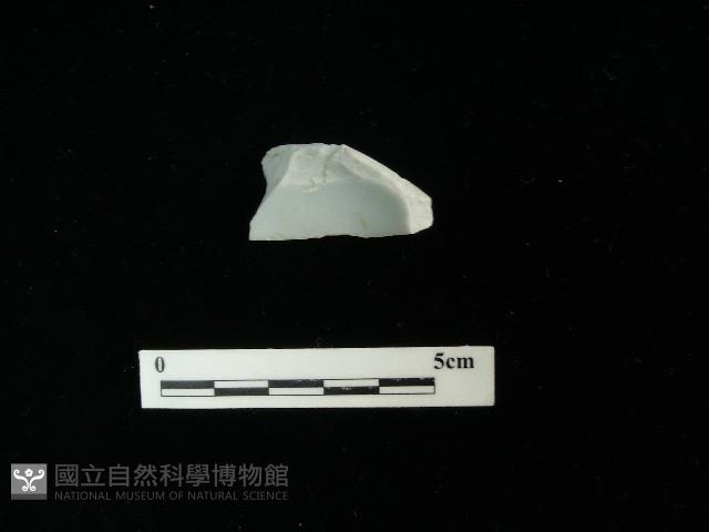 瓷片藏品圖，第2張