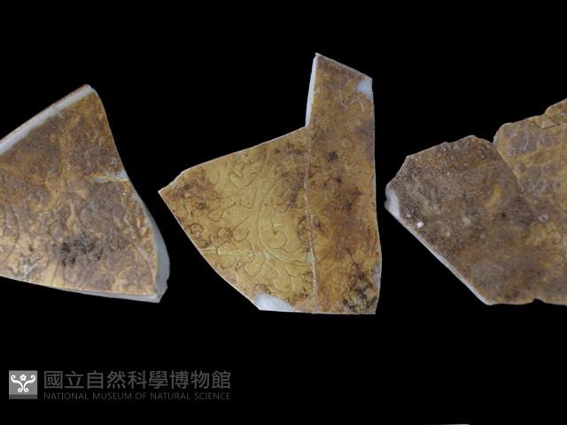 帶紋飾瓷片藏品圖，第1張