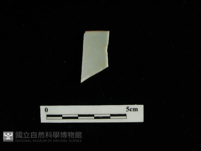 瓷片藏品圖，第2張