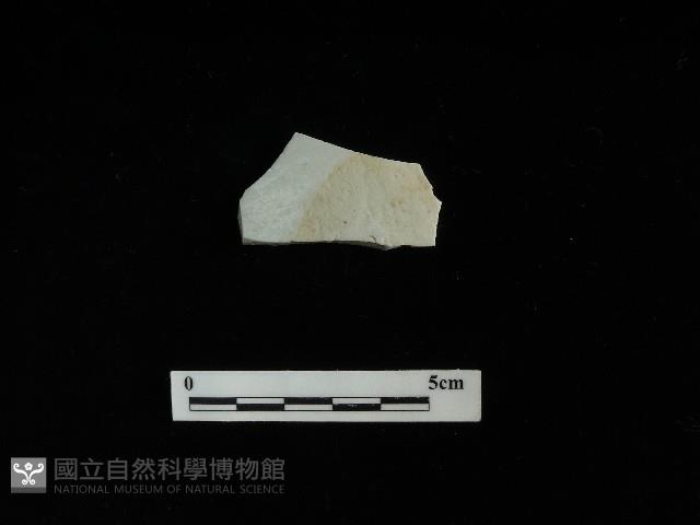 瓷盤藏品圖，第2張